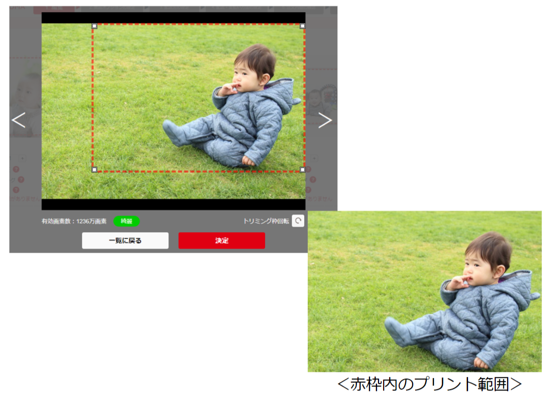 写真 Pc 自由トリミングとはなんですか よくあるご質問 写真プリント フォトブック 年賀状 しまうまプリント