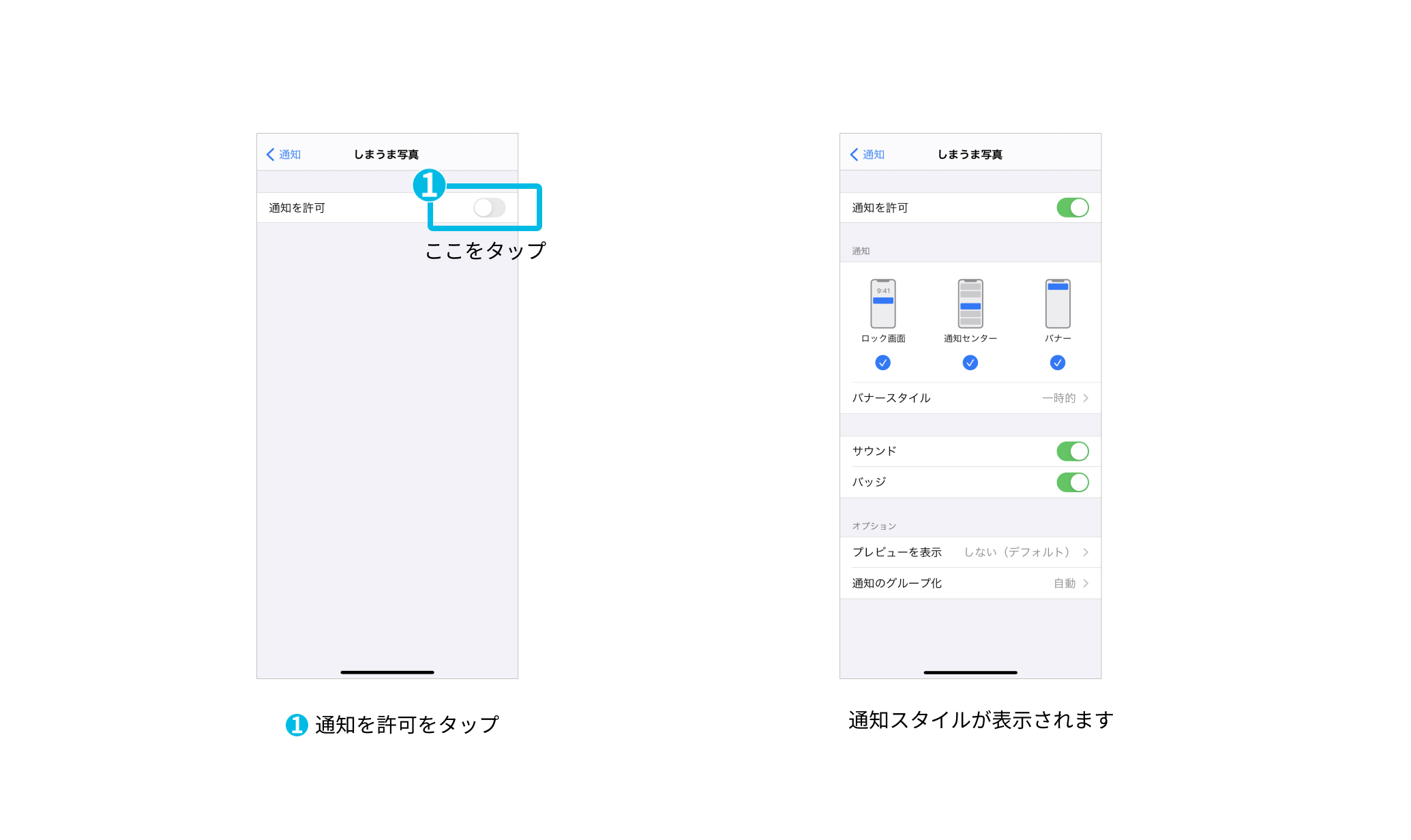 ______iPhone_.jpg