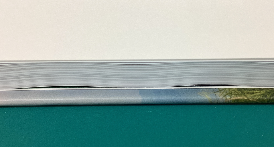 9626538d-4d90-4850-beb4-554828e6b7cc.png